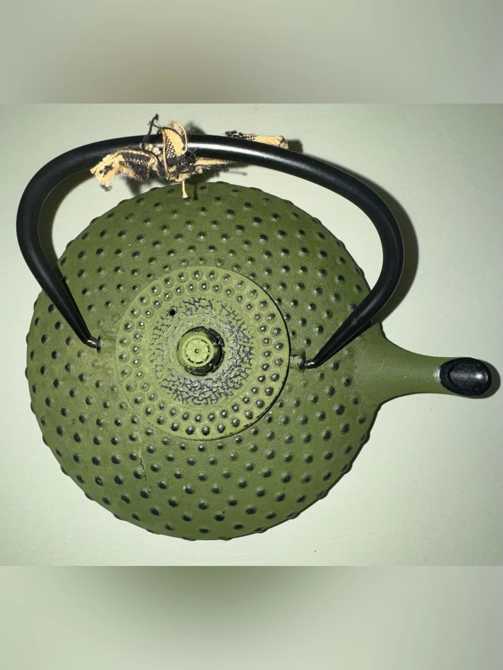 Bredemeijer Xilin Cast Iron Tea Pot